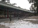 The Temple of Heaven Grounds * The Temple of Heaven Grounds * 2272 x 1704 * (1.21MB)